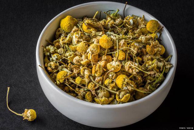 胎菊又称甘菊亦名小胎皇